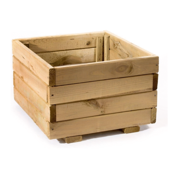 KIT CULTIVA MINI