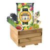 KIT CULTIVA MINI