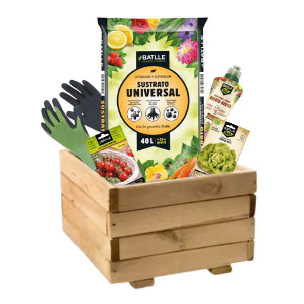 KIT CULTIVA MINI